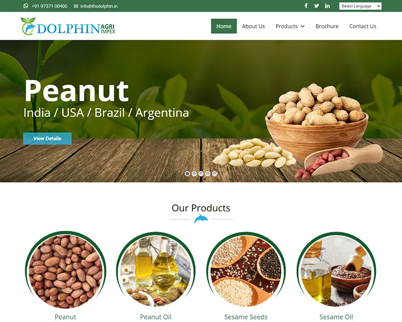 Dolphin Agri Impex Website design agency Web design services Professional website design Custom website design Responsive web design Creative web design UX/UI design services Ecommerce website design Small business web design Corporate website design Mobile-friendly website design WordPress website design Graphic design for websites SEO-friendly web design Affordable website design